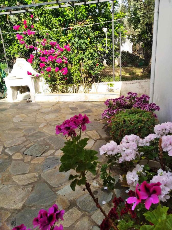Asteria House Vila Kala Nera Exterior foto